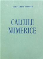 Calcule numerice