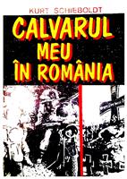 Calvarul meu in Romania