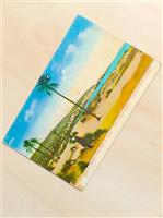 Carte postala veche / Old Postcard - Haifa and Mount Carmel