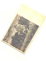 Carte postala veche / Old Postcard - Jerusalem, Garden of Gethsmany