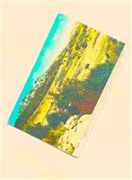 Carte postala veche / Old postcard - Mount Carmel
