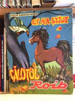 Ce n-a stiut calutul Roib
