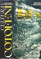 Cultura Cotofeni