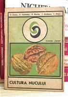 Cultura nucului