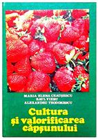Cultura si valorificarea capsunului