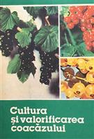 Cultura si valorificarea coacazului
