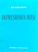 Depresiunea Husi