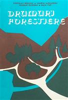 Drumuri forestiere