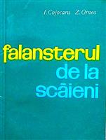 Falansterul de la Scaieni