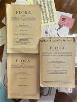 Flora pentru determinarea si descrierea plantelor ce cresc in Romania volumul I partea 1 si partea 2 + volumul II, Cluj, 1939