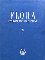 Flora R. P. R. vol. 4