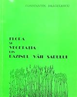 Flora si vegetatia din bazinul Vaii Sadului