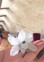 Frumoasa floare de mina din cuart, piesa pentru muzee - Like a flower, beautiful gem quartz crystal cluster
