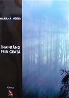 Inaintand prin ceata