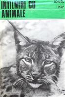 Intalniri cu animale