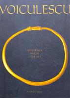 Integrala prozei literare