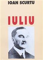 Iuliu Maniu. Activitatea politica