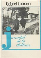 Jurnalul de la Paltinis