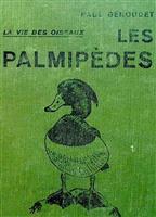 La vie des oiseaux: Les Palmipedes