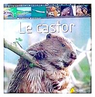 Le castor