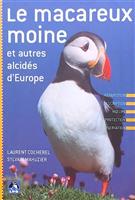 Les macareux moine et autres alcides d'Europe