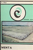 Menta