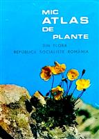 Mic atlas de plante din flora RSR