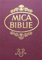 Mica Biblie, Teoctist, 2001