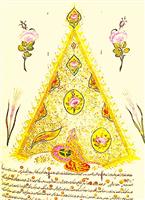 Paleografia si diplomatica turco-osmana. Studiu si album