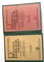 Povestea copilului pierdut - Sans famille [Singur pe lume] partea I-a + partea a II-a, interbelica (1935)