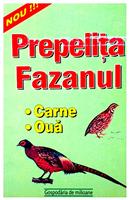 Prepelita - Fazanul