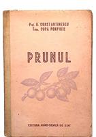 Prunul