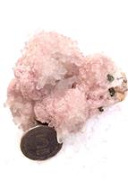 Rara floare de mina rodocrozit pe cuart - Rare gemstone rhodochrosite crystal on quartz