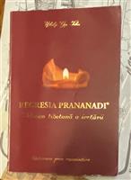 Regresia Prananadi. Tehnica tibetana a iertarii