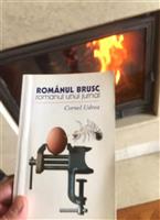 Romanul brusc. Romanul unui jurnal