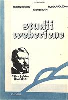 Studii weberiene