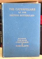 The Caterpillars of the British Butterflies. Including the Eggs, Chrysalids and Food-Plants