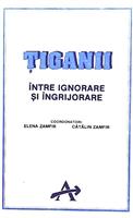Tiganii - intre ignorare si ingrijorare