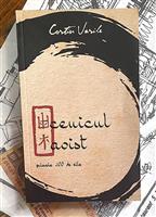 Ucenicul taoist. Primele 100 de zile