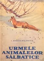Urmele animalelor salbatice
