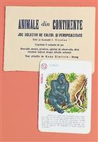 Vechi joc zoogeografic - Animale din Continente
