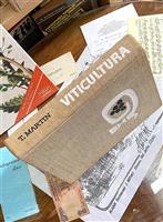 Viticultura