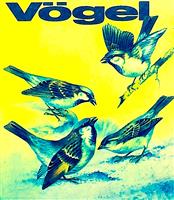 Vogel - Pasari